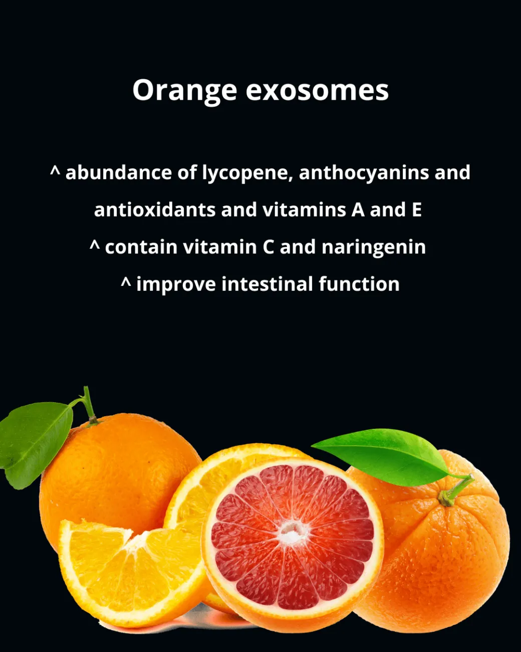 EXO Nutri Power 30 capsules